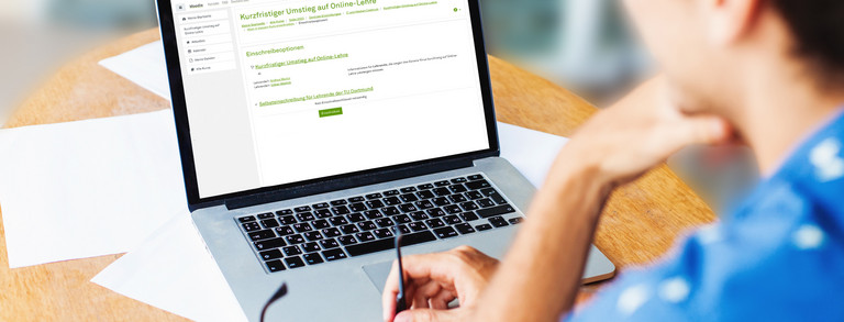 Student on laptop Student sits at workstation and looks at laptop.